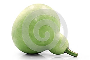 Bottle Gourd isolated on white background