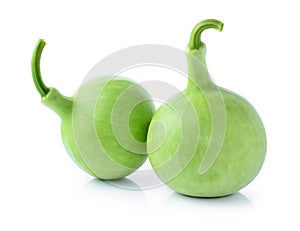 Calabash, Bottle Gourd vegetable