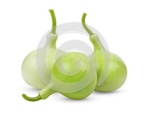 Calabash isolated on white