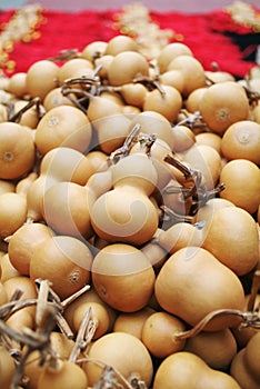 Calabash for sell