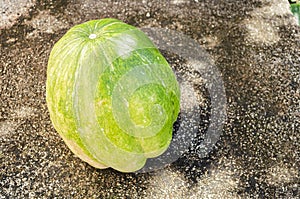 Calabaza Pumpkin On Concrete Pavement