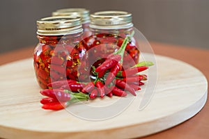 Calabrian peppers in oil hot pepper very hot chili photo