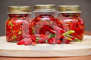 Calabrian peppers in oil hot pepper very hot chili photo
