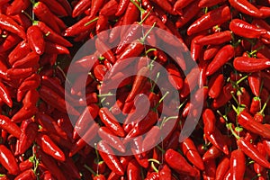 Calabrian red pepperoncino