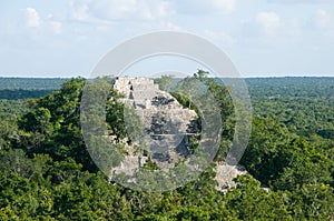 Calakmul - estructura I photo