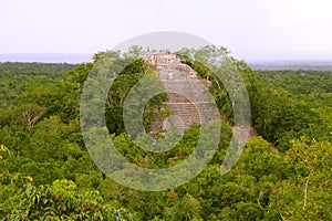 Mayan pyramids in Calakmul campeche mexico I photo