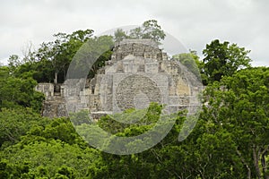 Mayan pyramids in Calakmul campeche mexico II photo
