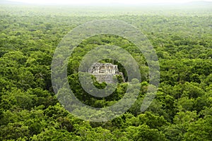 Mayan pyramids in Calakmul campeche mexico IV photo