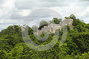 Mayan pyramids in Calakmul campeche mexico V photo