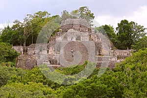 Mayan pyramids in Calakmul campeche mexico XI photo