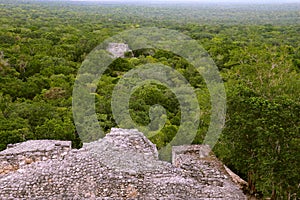 Mayan pyramids in Calakmul campeche mexico XIII photo