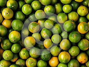 Calamansi also known as Philippine Lime. Full frame background.