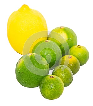 Calamansi, Lime and Lemon II