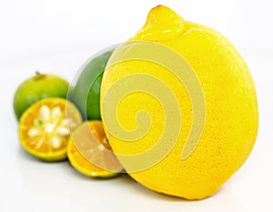 Calamansi, Lime and Lemon IV