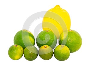 Calamansi, Lime and Lemon