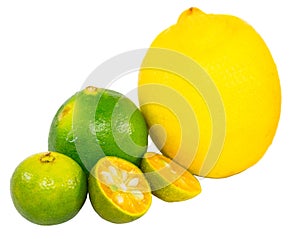 Calamansi, Lime and Lemon VII