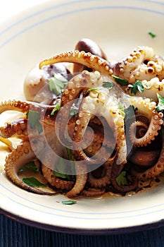 Calamari