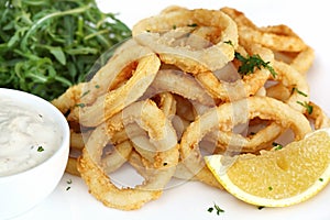 Calamari photo