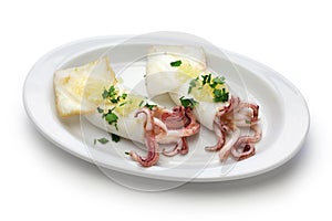 Calamari a la plancha, grilled squid, spanish food photo