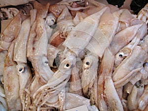 Calamary in Market