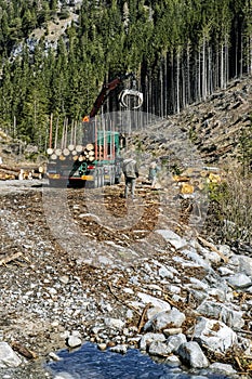 Calamity logging in Demanovska valley, Low Tatras, Slovakia