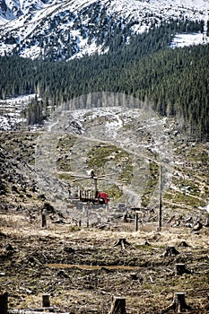 Kalamitná ťažba v Demänovskej doline, Nízke Tatry, Slovensko