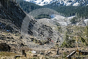 Calamity logging in Demanovska valley, Low Tatras, Slovakia