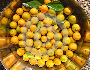 Calamondin oranges
