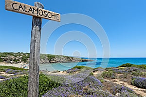 Calamosche beach in Sicily Italy