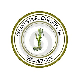 Calamus, essential oil label, aromatic plant