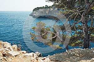 Calanque of Cassis, France