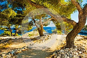 Calanque de Port Miou - fjord near Cassis Village, Provence, France