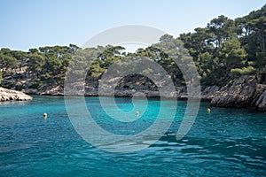 Calanque de Port Pin near Cassis, boat excursion to Calanques national park in Provence, France