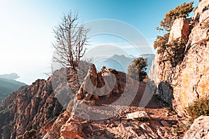 Calanques de Piana in Corsica, France