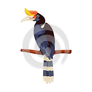 Calao bird or hornbill, vector icon or clipart.