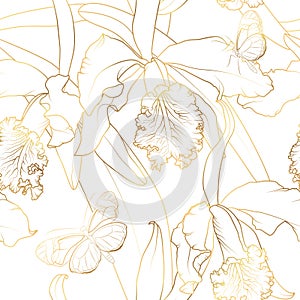 Calathea orchid tropical flower bloom blossom with butterfly insect. Shiny golden gradient line drawing white background