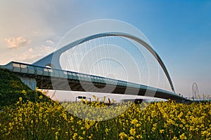 Calatrava Bridge