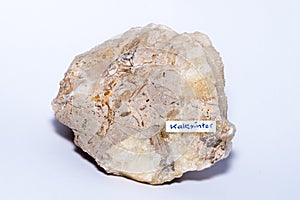 Calc sinter white gemstone formed on an usual piece of bed rock isolated photo