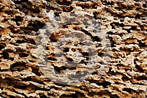 Calcareous sedimentary rock