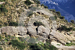 Calcareous sedimentary rock, with fractures