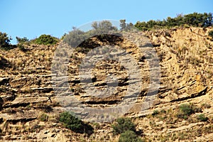 Calcareous sedimentary rock, sicily