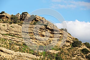 Calcareous sedimentary rock, sicily