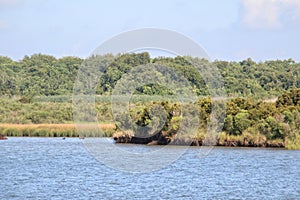 Calcasieu River Channel