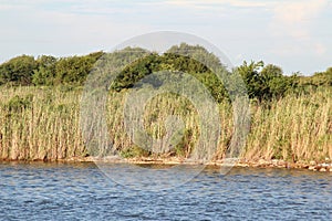 Calcasieu River Channel