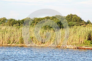 Calcasieu River Channel