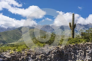 Calchaqui Valley in Tucuman, Argentina