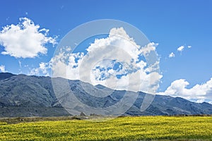 Calchaqui Valley in Tucuman, Argentina