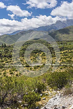 Calchaqui Valley in Tucuman, Argentina photo