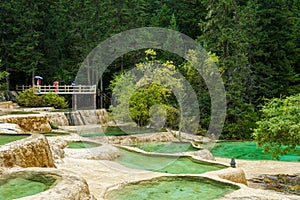 Calcification pond at Huanglong, Sichuan, China