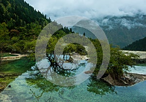 Calcification ponds at Huanglong, Sichuan, China